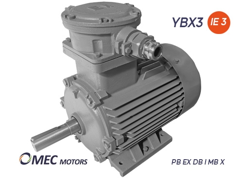 YBX3 PB